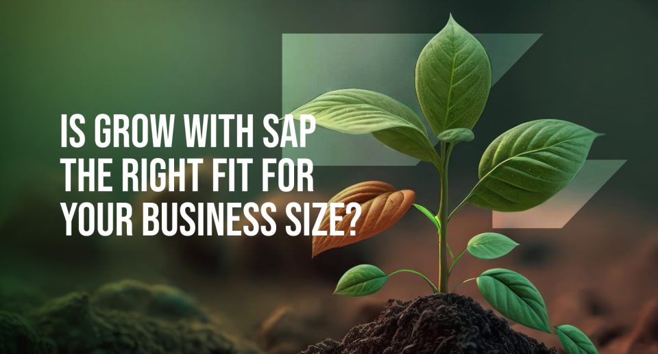 Green seedling growing from soil beside the text “Is GROW with SAP the right fit for your business size?”