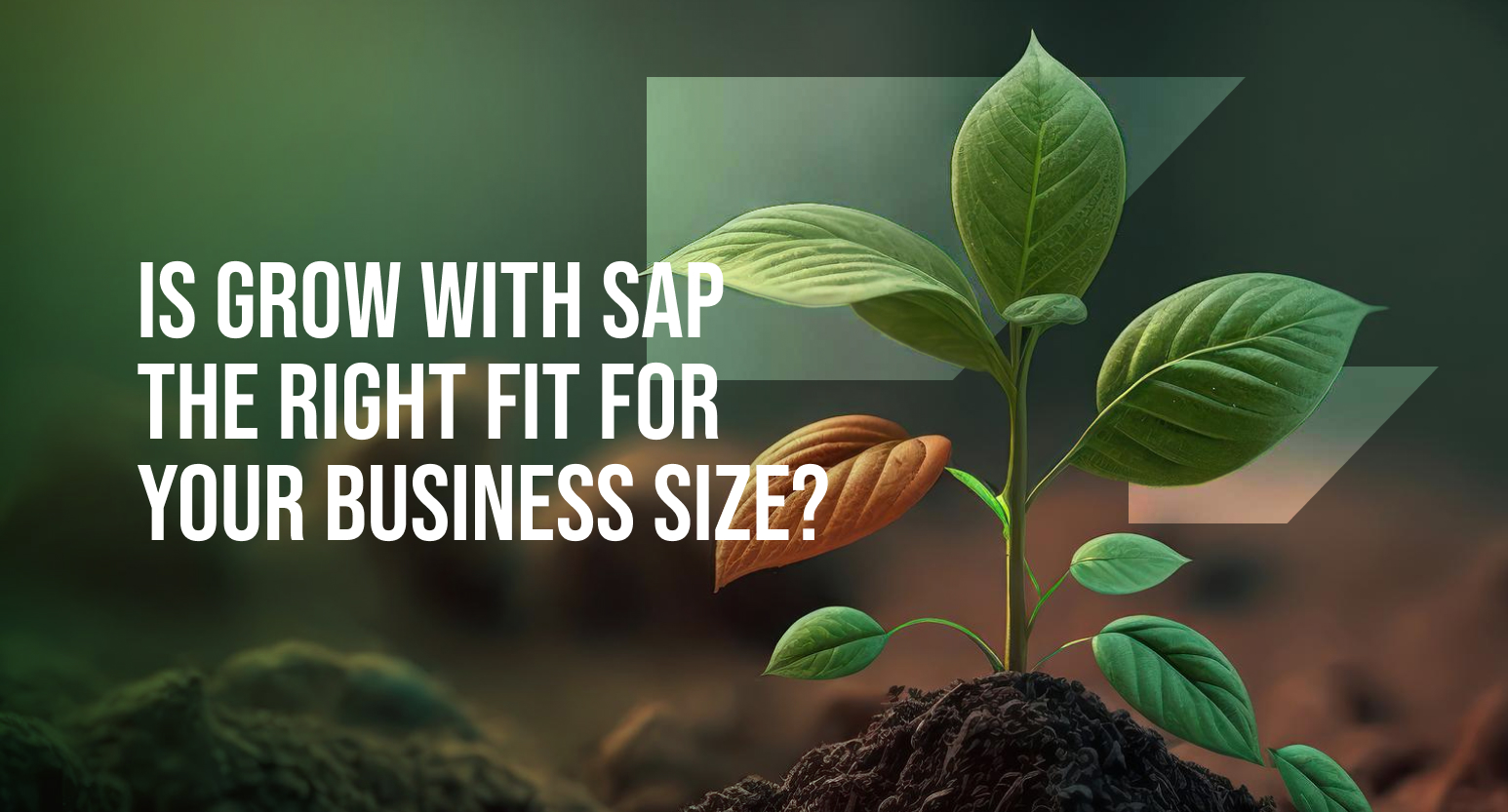 Green seedling growing from soil beside the text “Is GROW with SAP the right fit for your business size?”